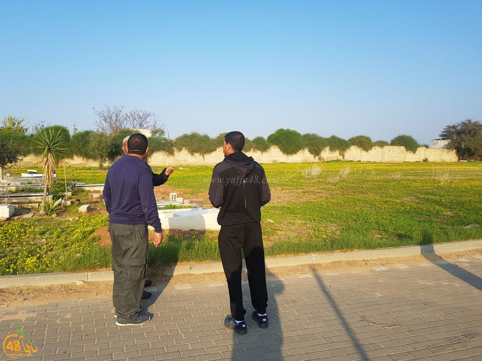 tasoo lajna ivsiti (15).jpg